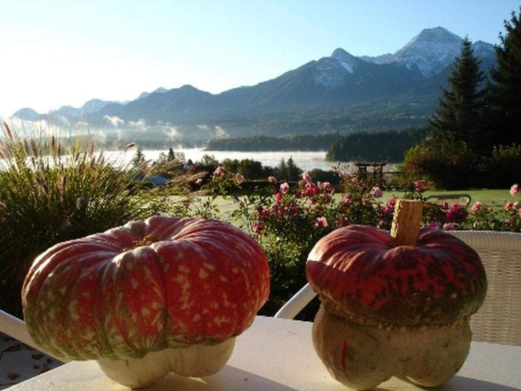 Hotel Schoenruh Drobollach am Faakersee Eksteriør bilde